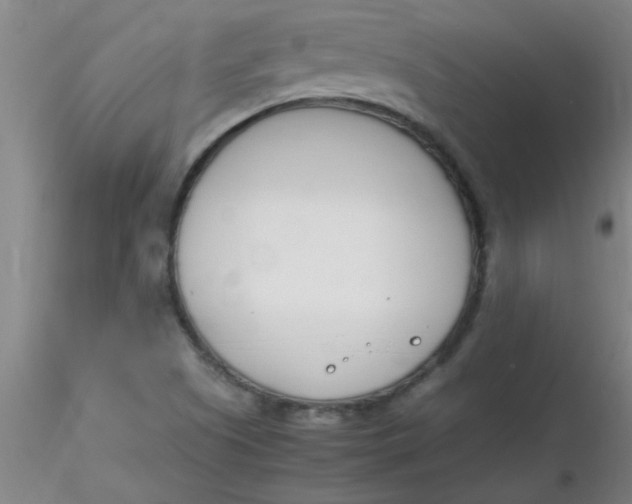 X0000116291505200912211830