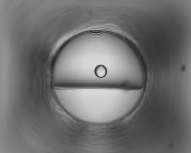 X0000116291506200912211830