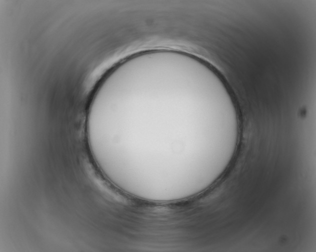 X0000116291507200912211830