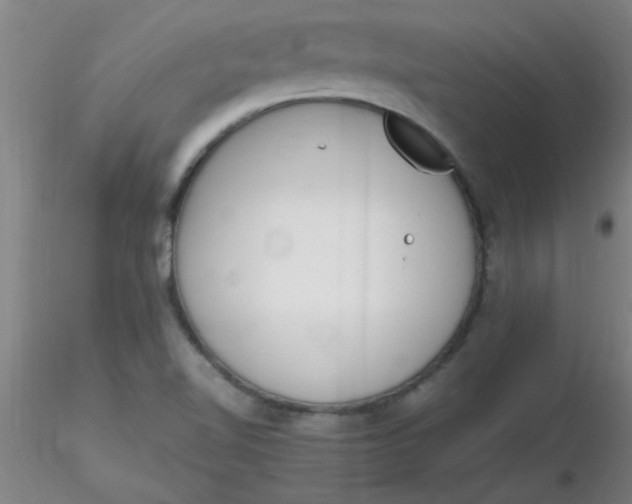 X0000116291510200912211830