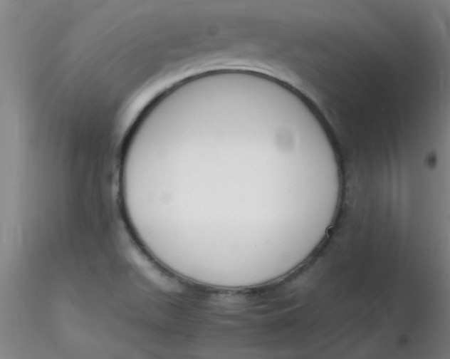 X0000116291511200912211830