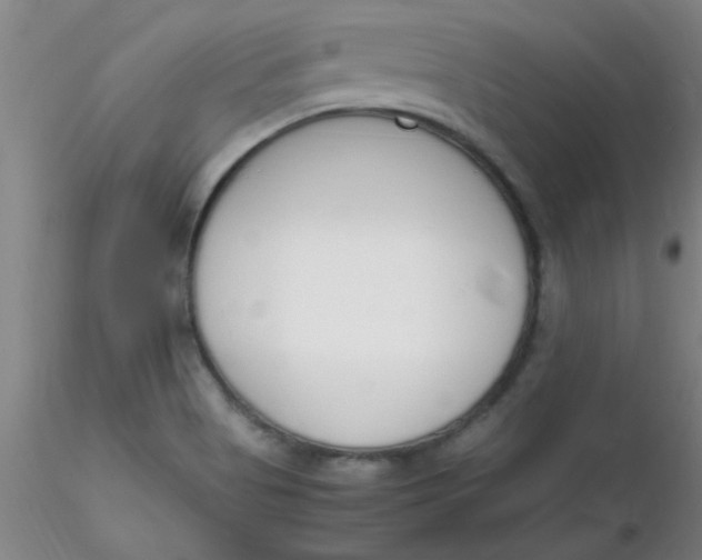 X0000116291513200912211830