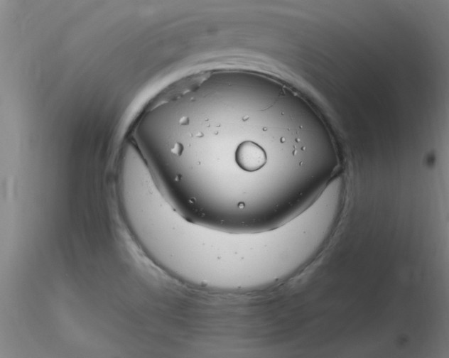 X0000116291514200912211830