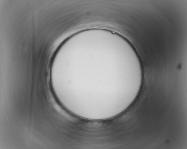 X0000116291515200912211830