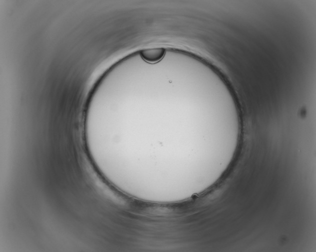 X0000116291517200912211830