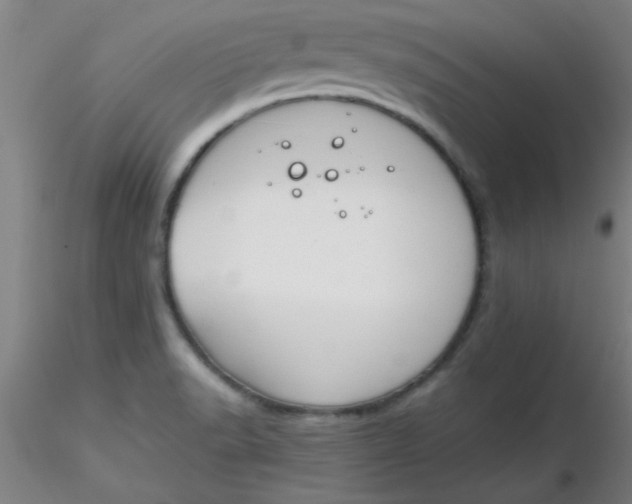 X0000116291518200912211830