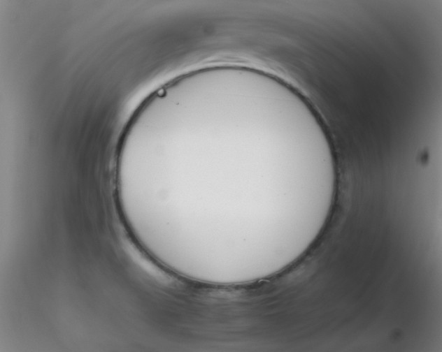 X0000116291519200912211830