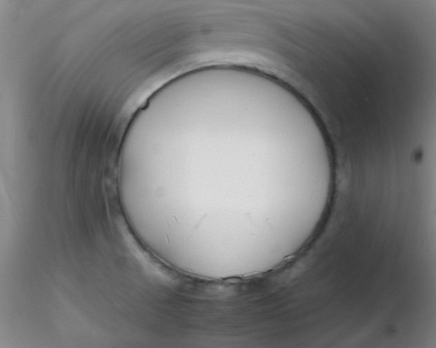 X0000116291521200912211830