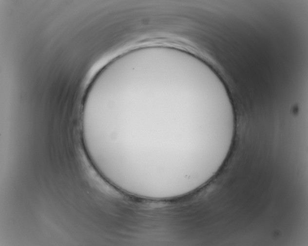 X0000116291522200912211830