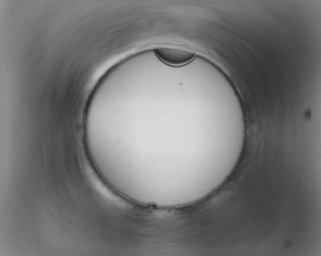 X0000116291523200912211830