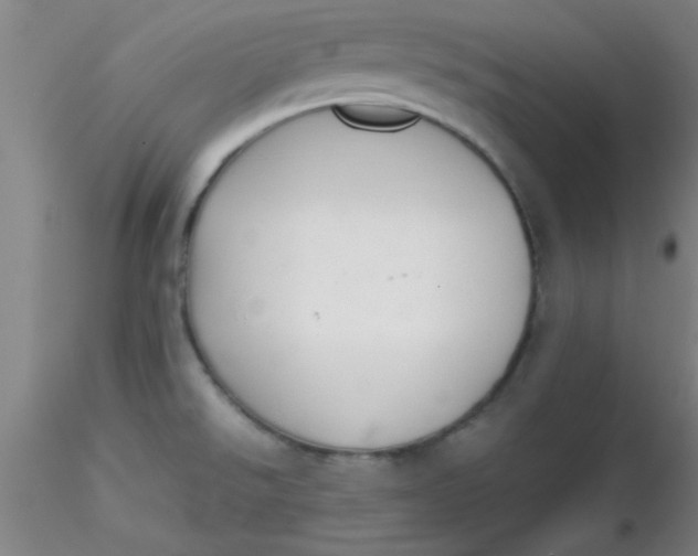 X0000116291526200912211830