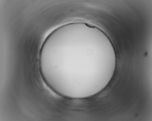 X0000116291527200912211830