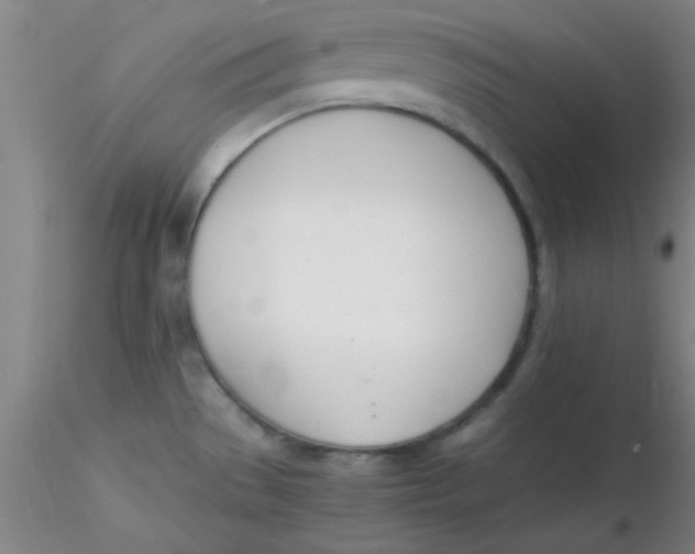 X0000116291529200912211830