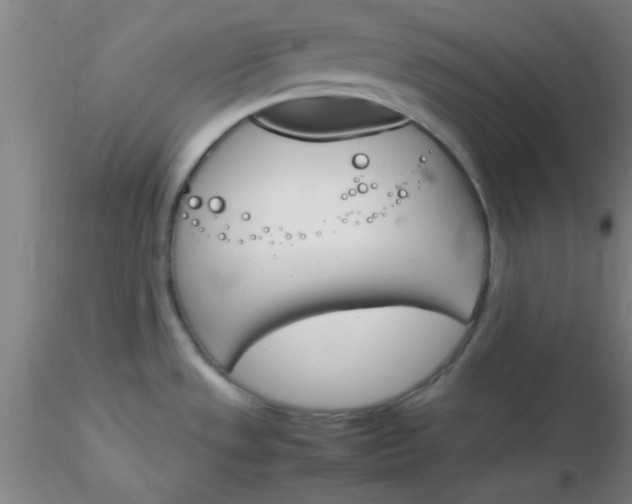 X0000116291533200912211830