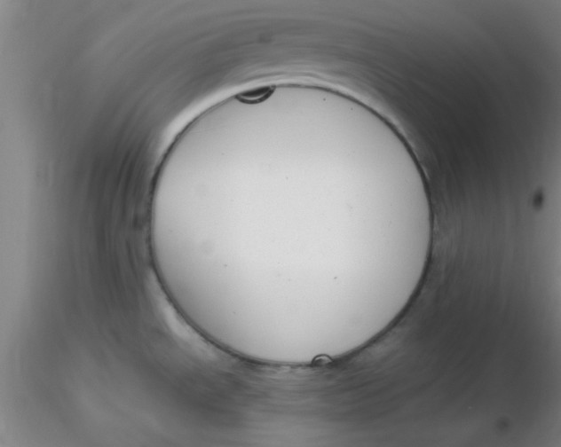 X0000116291534200912211830