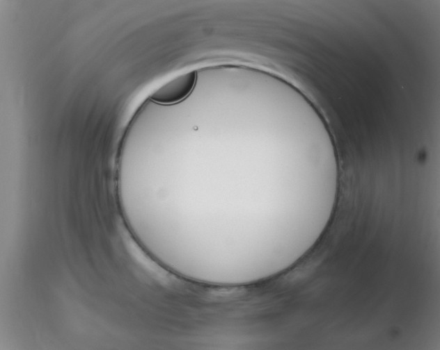 X0000116291535200912211830