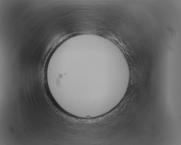 X0000116290002200912291421