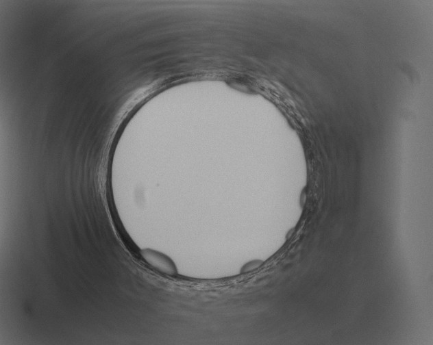 X0000116290003200912291421