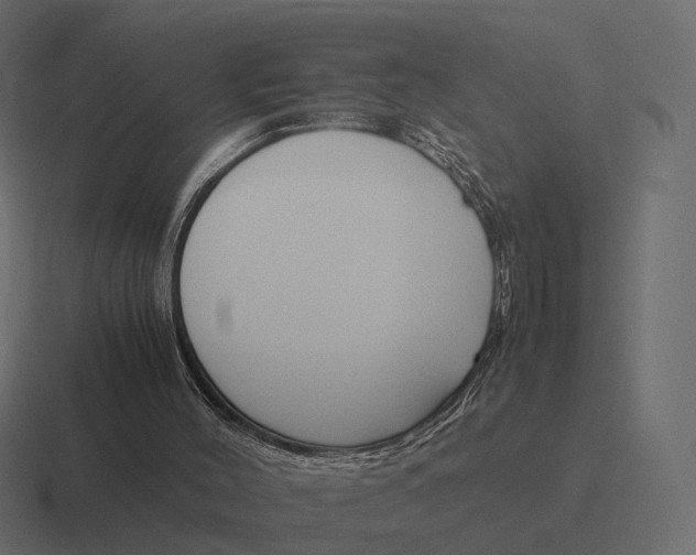 X0000116290004200912291421