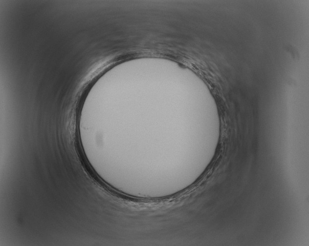 X0000116290005200912291421