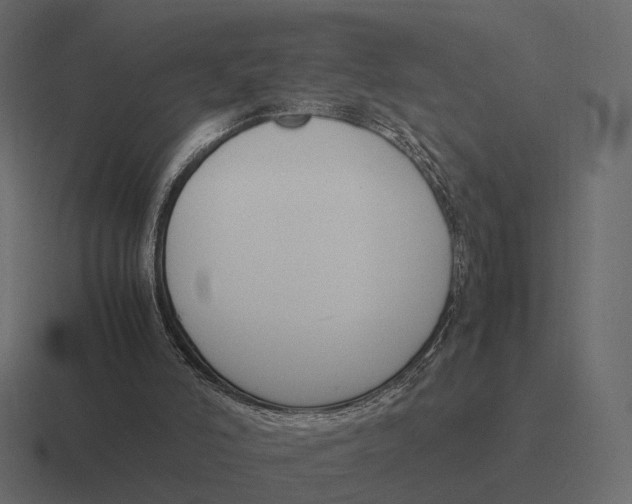 X0000116290006200912291421