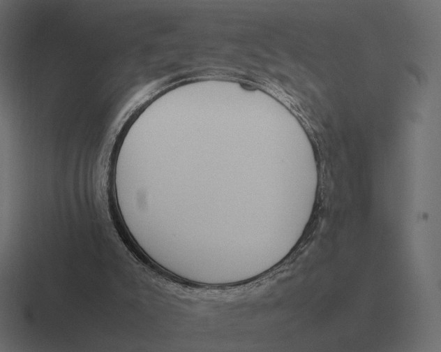 X0000116290007200912291421