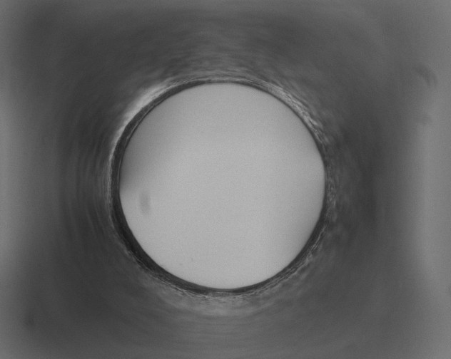 X0000116290008200912291421