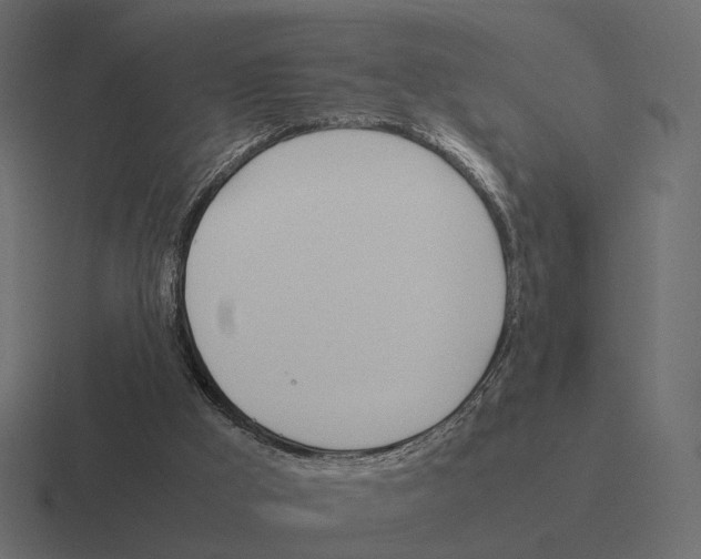 X0000116290009200912291421