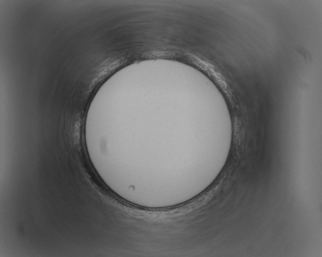 X0000116290010200912291421