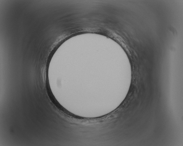 X0000116290011200912291421