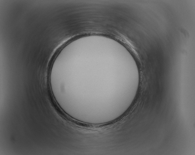 X0000116290012200912291421