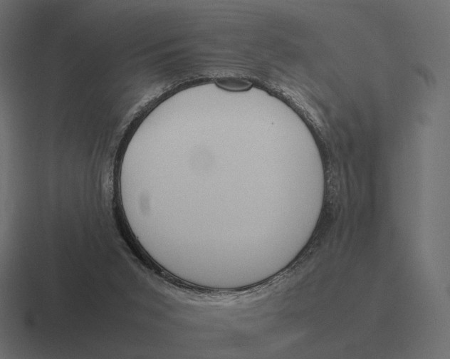 X0000116290015200912291421