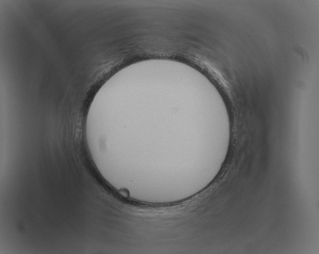 X0000116290017200912291421