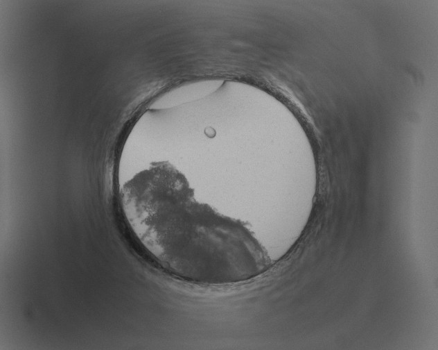 X0000116290019200912291421