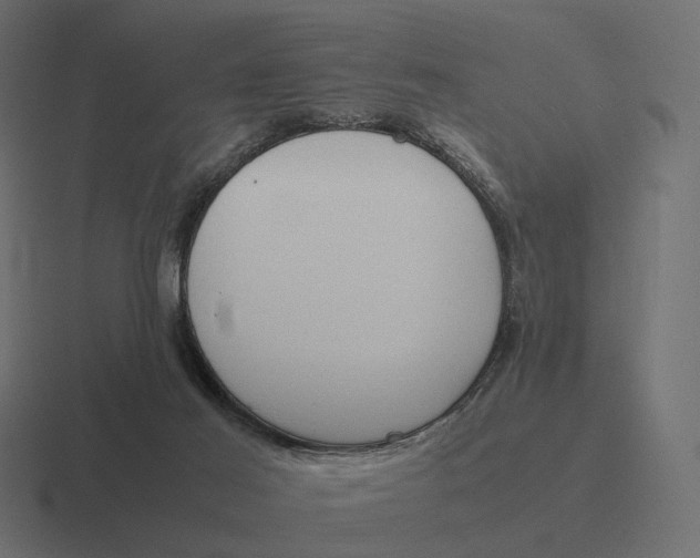 X0000116290021200912291421