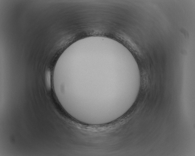 X0000116290022200912291421