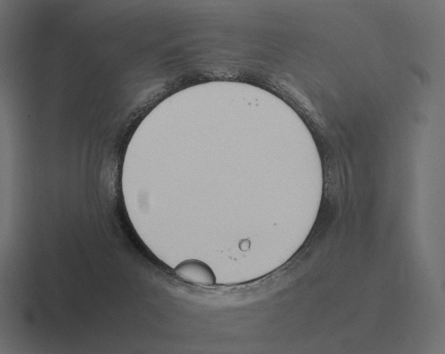 X0000116290023200912291421