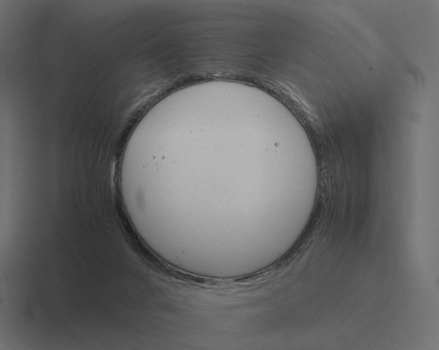 X0000116290024200912291421