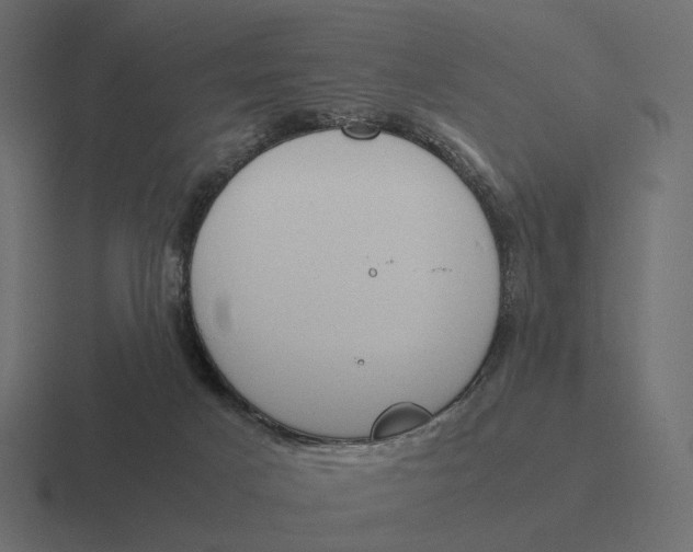 X0000116290025200912291421