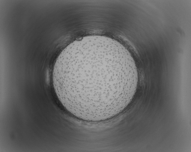 X0000116290026200912291421