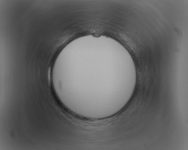 X0000116290028200912291421