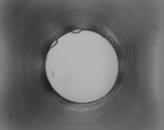 X0000116290029200912291421