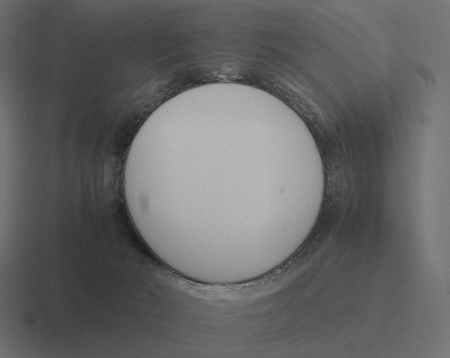 X0000116290030200912291421