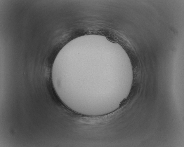 X0000116290033200912291421