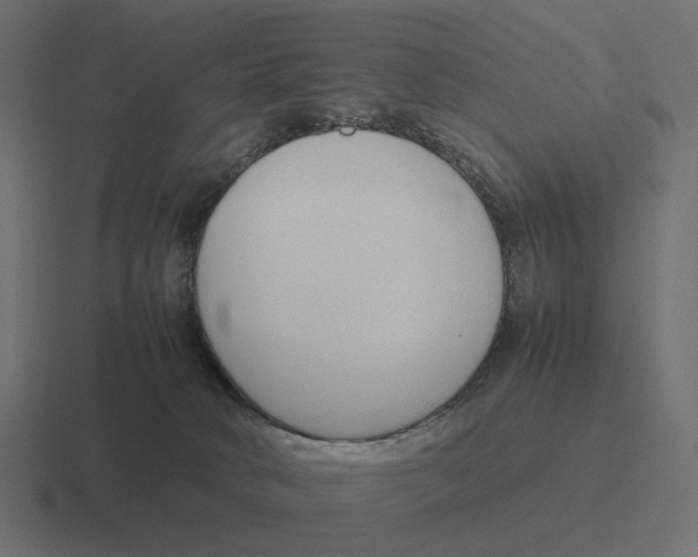 X0000116290034200912291421