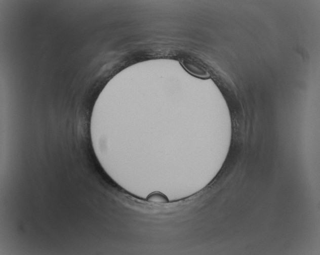 X0000116290035200912291421