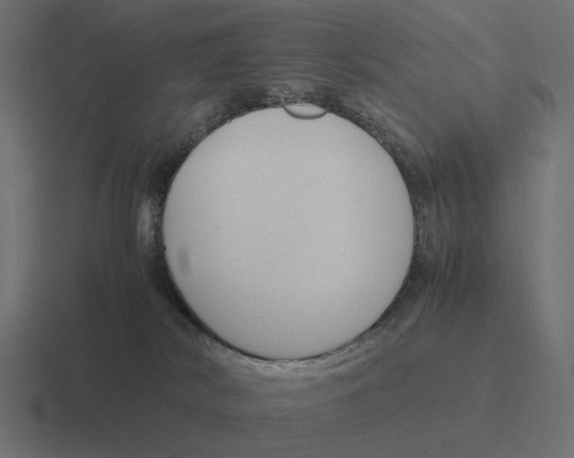 X0000116290038200912291421