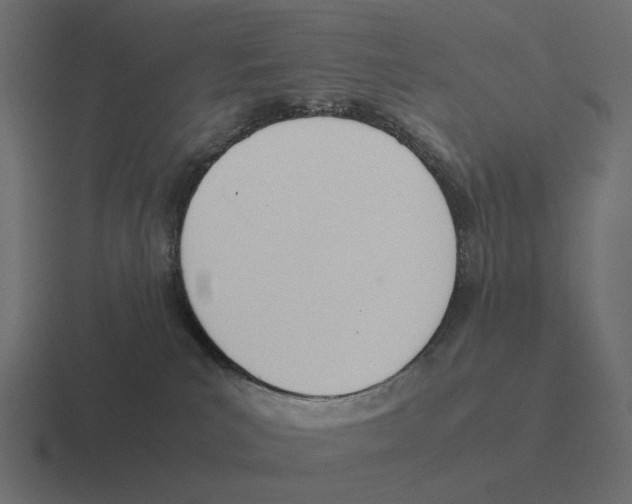 X0000116290039200912291421