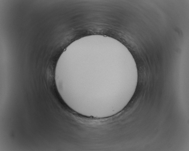 X0000116290040200912291421