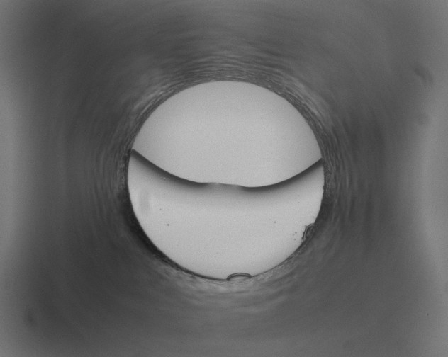 X0000116290043200912291421